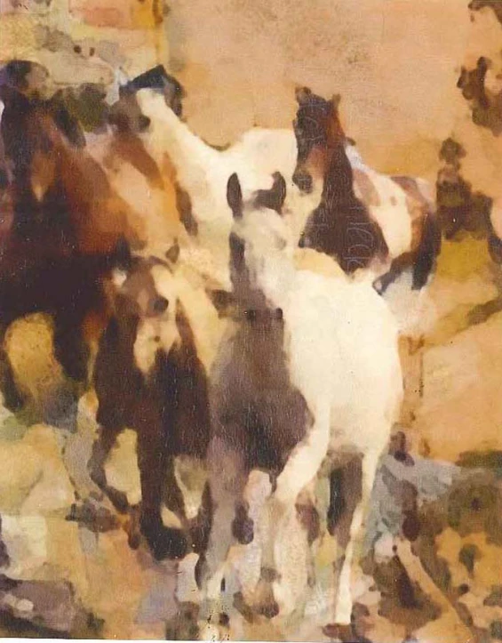 several horses standing close to one another