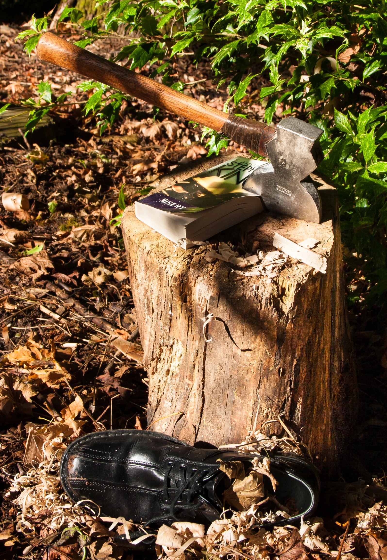 there is a old wooden block with a axe and book on top of it