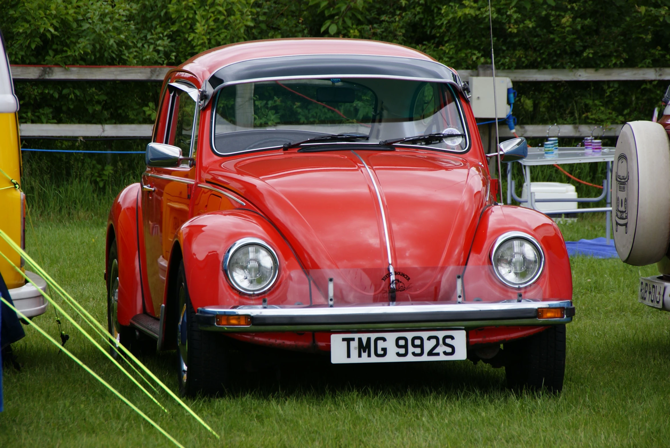 an orange and red beetle parked on top of grass