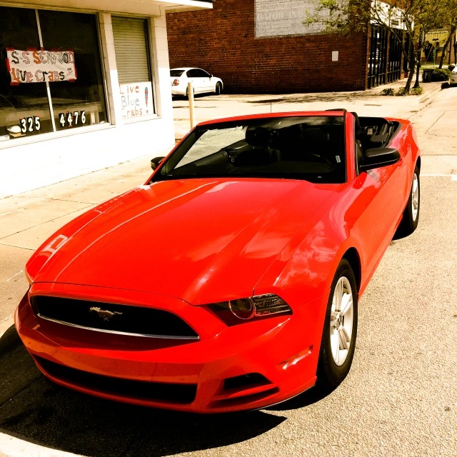 this is an image of a mustang on the street