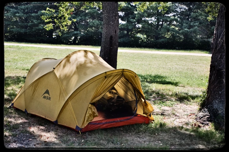 a tent with it's interior outside by some trees