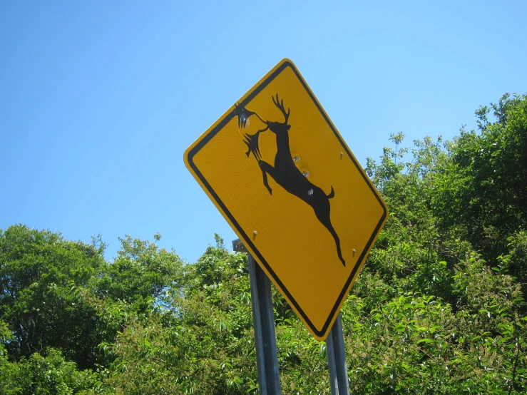 a yellow and black street sign stating deer crossing