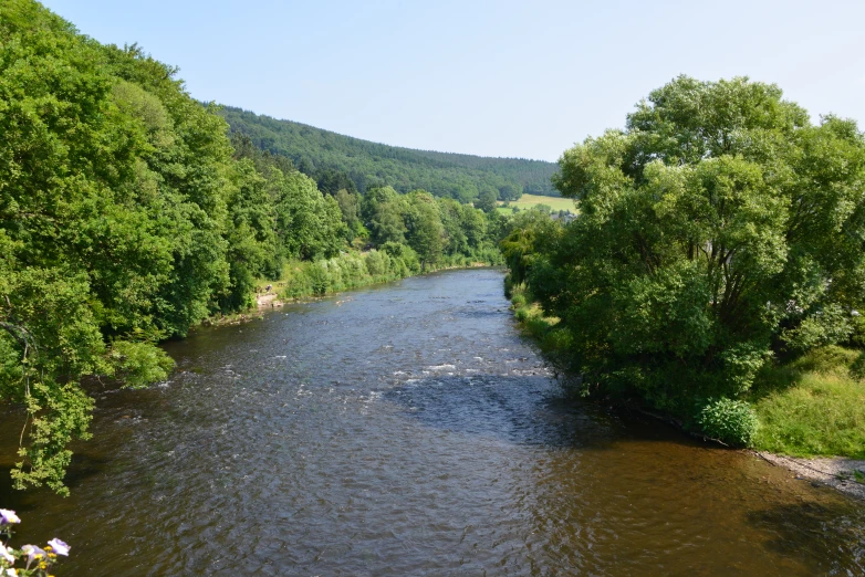 there are very large rivers running through this forest