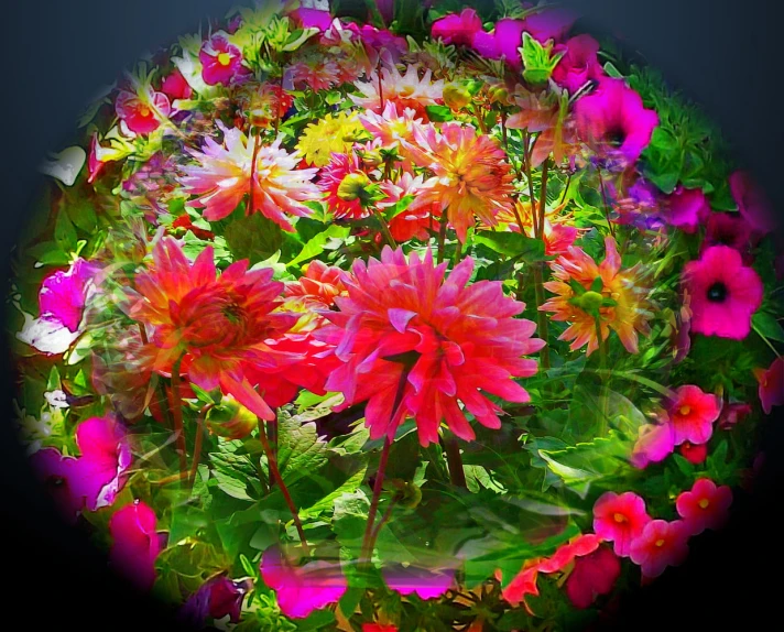 an artistic image of many different flowers