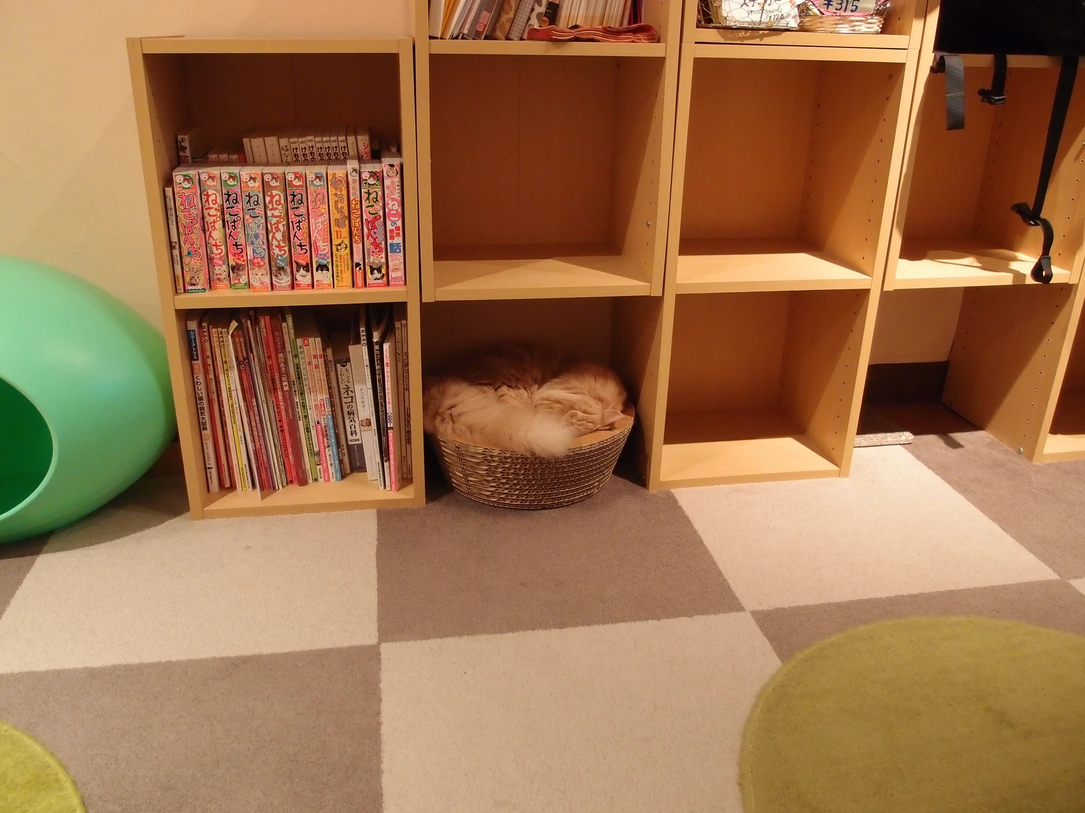 a room with shelves filled with books and children's toys