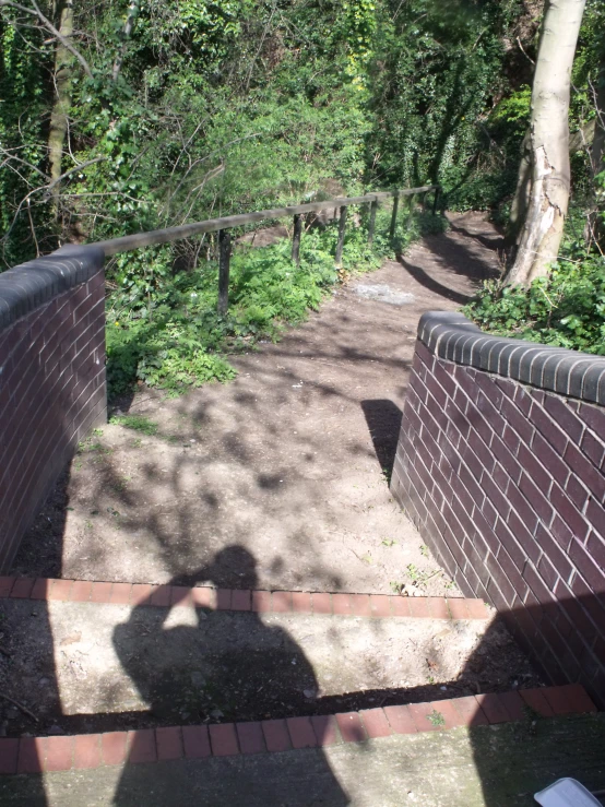 a person takes a picture as they walk down the path