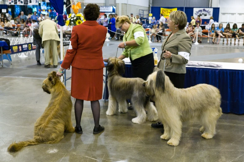 two women in dress clothes and two brown dogs are on display