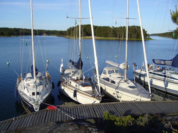 several sail boats parked along the dock in the water