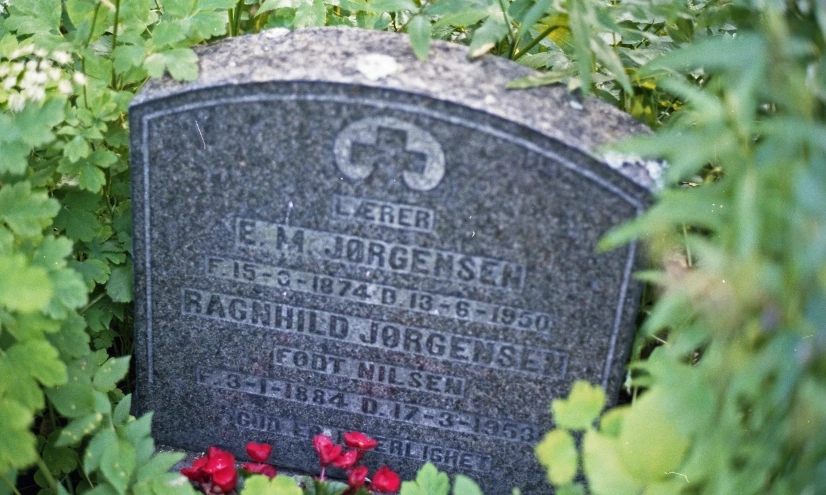 there is a grave surrounded by red flowers