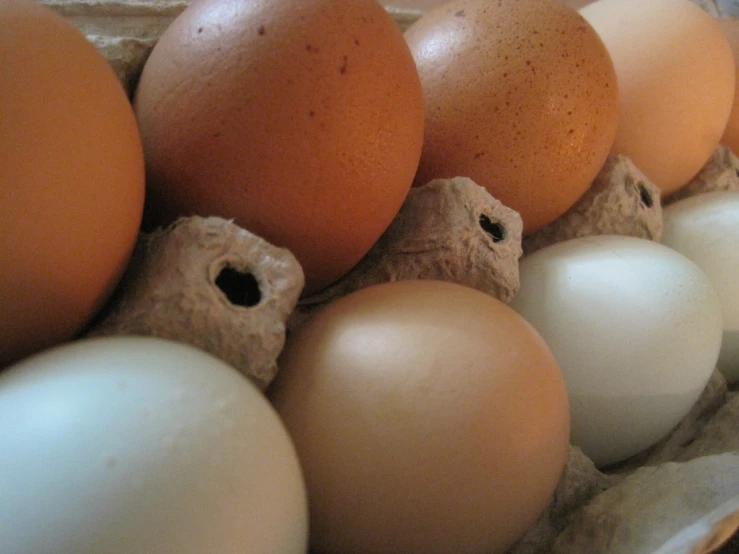 a row of eggs, one with no - tops on them