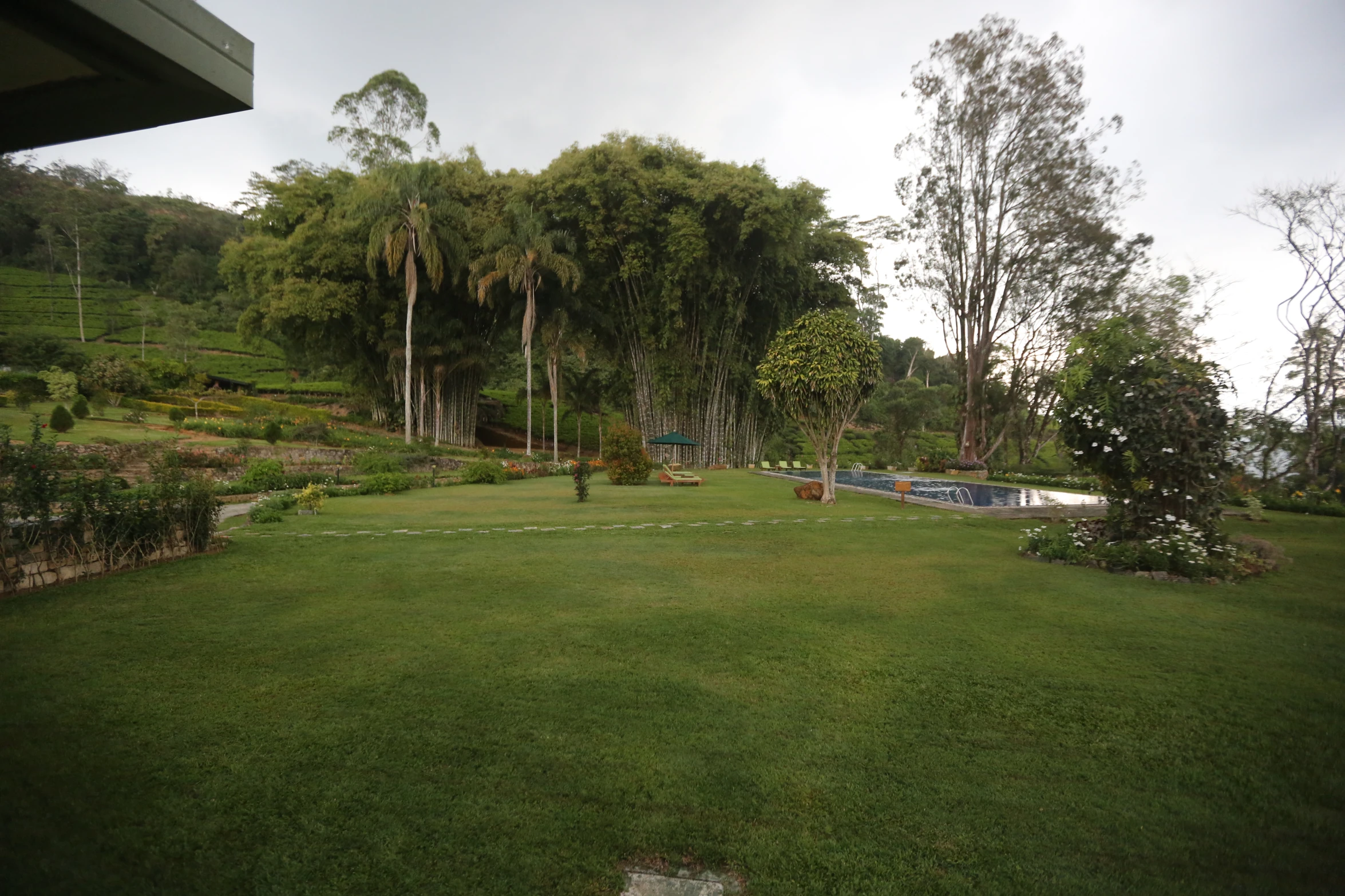 large yard area with lots of grass in the daytime