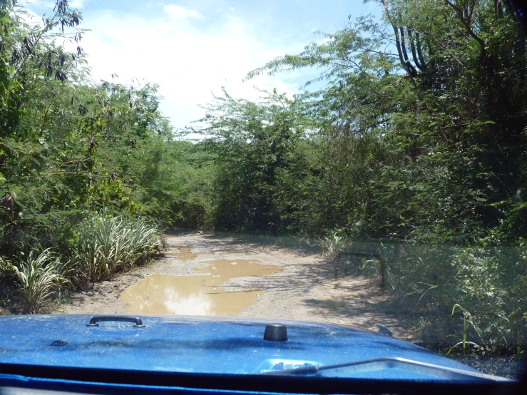 the water is muddy and there are trees around it