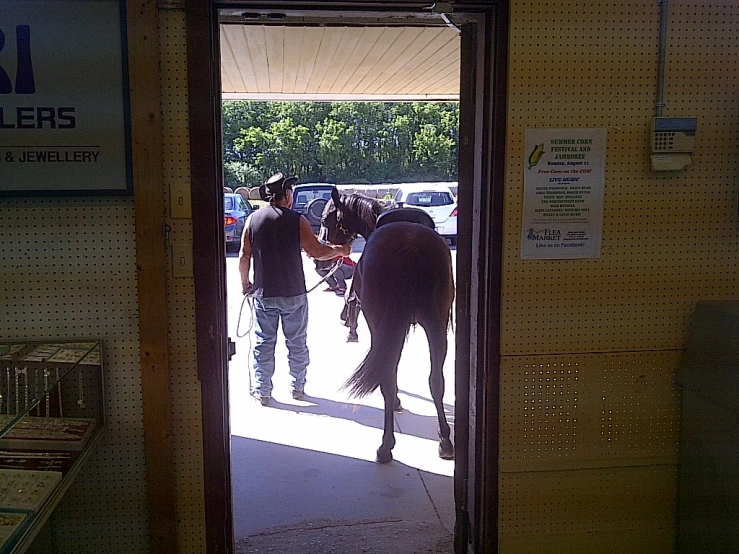 a person standing near a horse on a city street