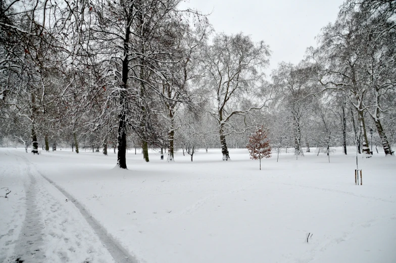 a snowy landscape in the middle of a park