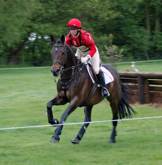 a jockey rides a horse over the line in a race