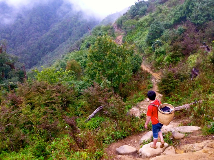 a boy standing on a hill near some rocks and trees