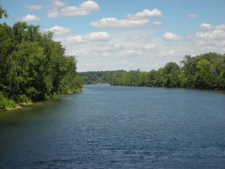 a large body of water surrounded by trees