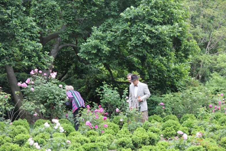 a man and woman in a garden looking at shrubs
