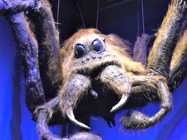 the stuffed spider hanging from a nch has two very large black eyes