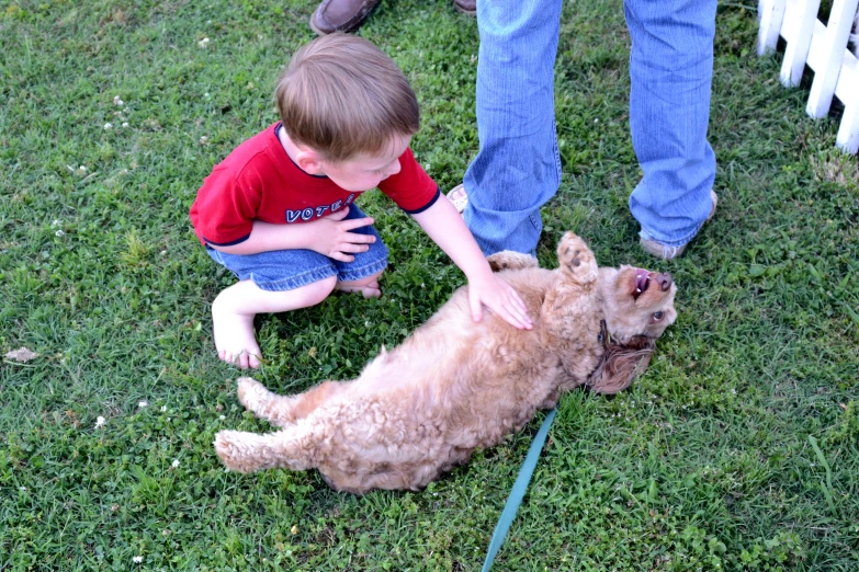 a young child touching a puppy on the ground