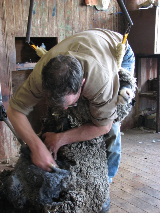 a man in tan shirt shearing a sheep