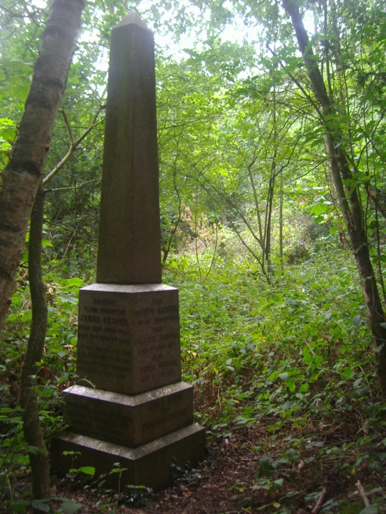 a monument that has been placed in the forest