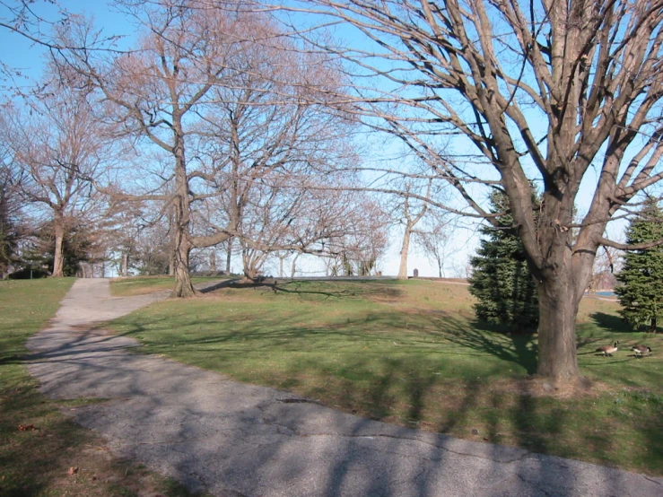 a winding path in the middle of a grassy area