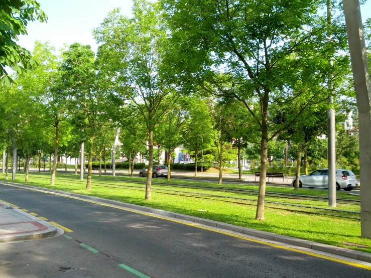 a large green park with trees and roads