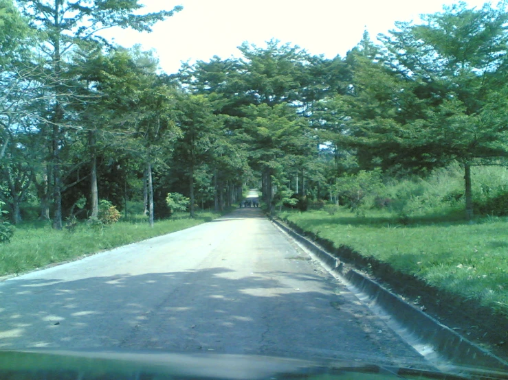a view of the street and a grassy area from inside a car