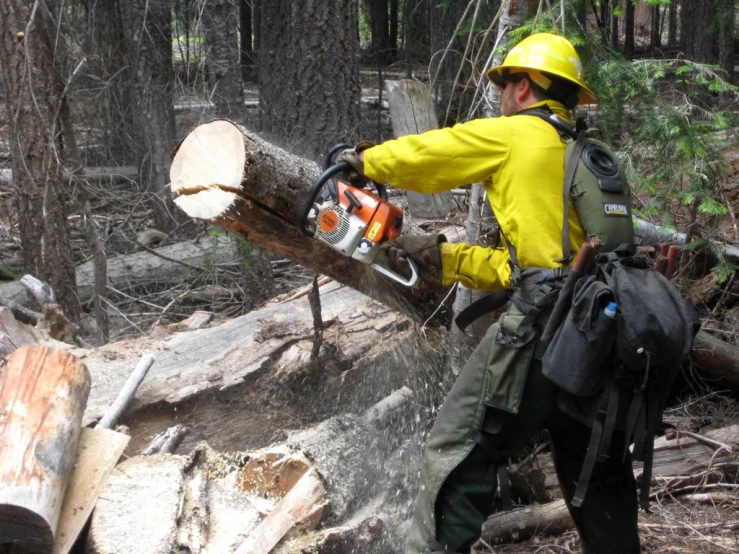 a man chainsawing a log in the forest