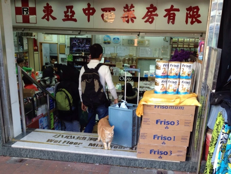 a cat sitting in front of the entrance of a shop with two men on their bicycles