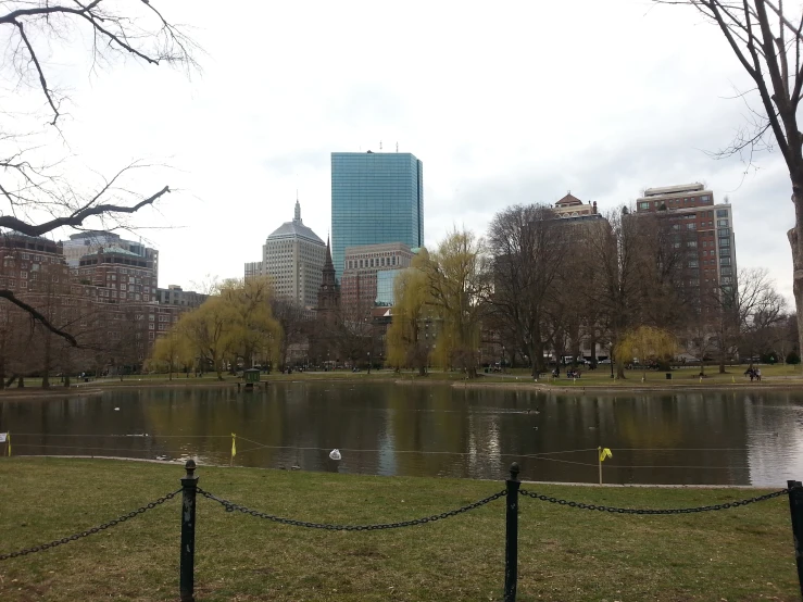 the view of central park in spring with ducklings in water