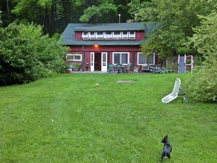 a cat standing on top of grass in front of a house