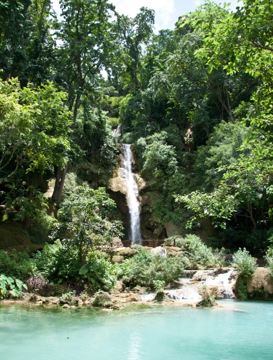 a beautiful waterfall is surrounded by a wooded area