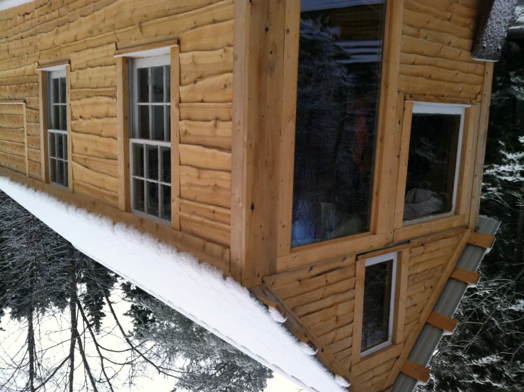 a small log cabin built into the side of a forest