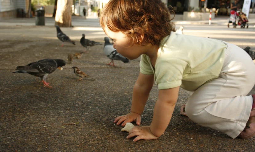 a child is crouching down to feed a flock of birds