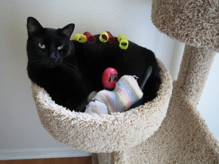 a cat sitting in a cat tree that is covered with various items