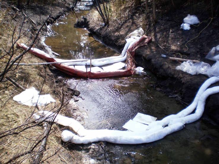 a dead body is sitting in water that has been dumped