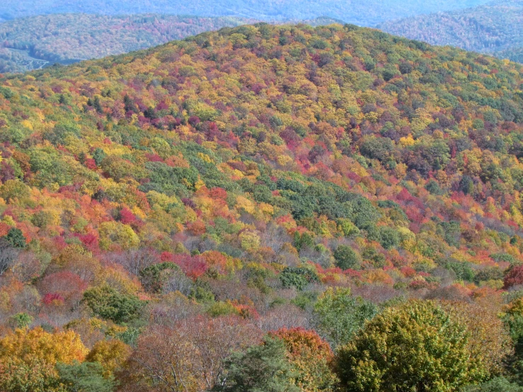 the mountains in the background have trees with orange and red leaves