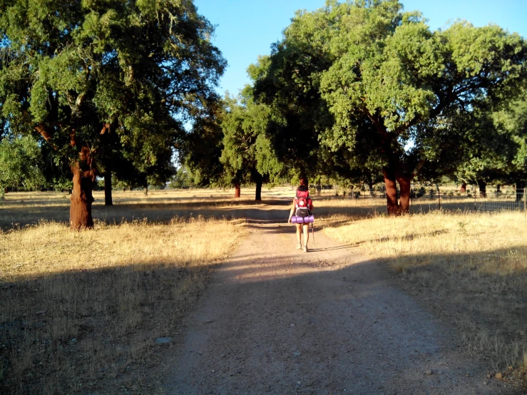 a lady is walking her dog down a dirt trail