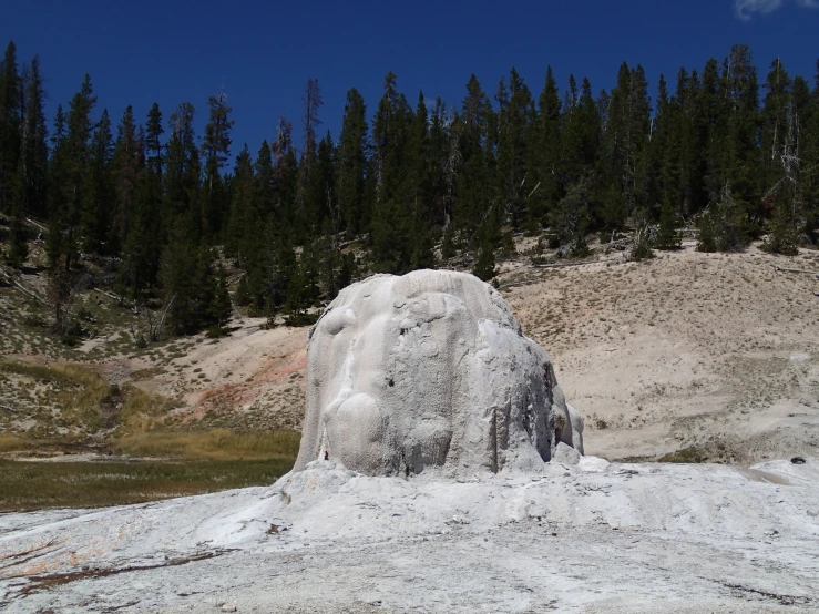 a big rock and some trees in the background