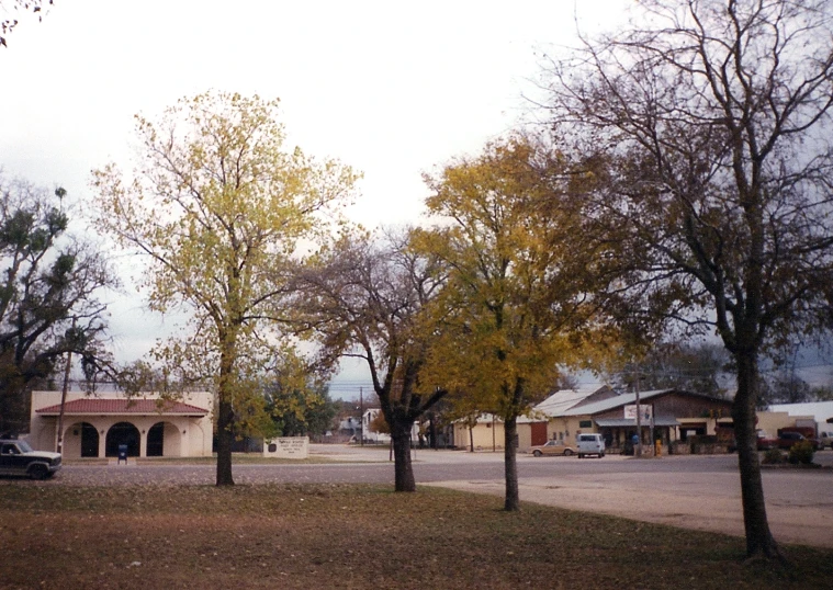 some trees and some cars are parked in the street