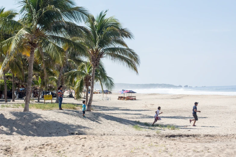 people walking on a beach surrounded by palm trees