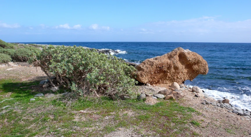 a large rock in the grass next to some water