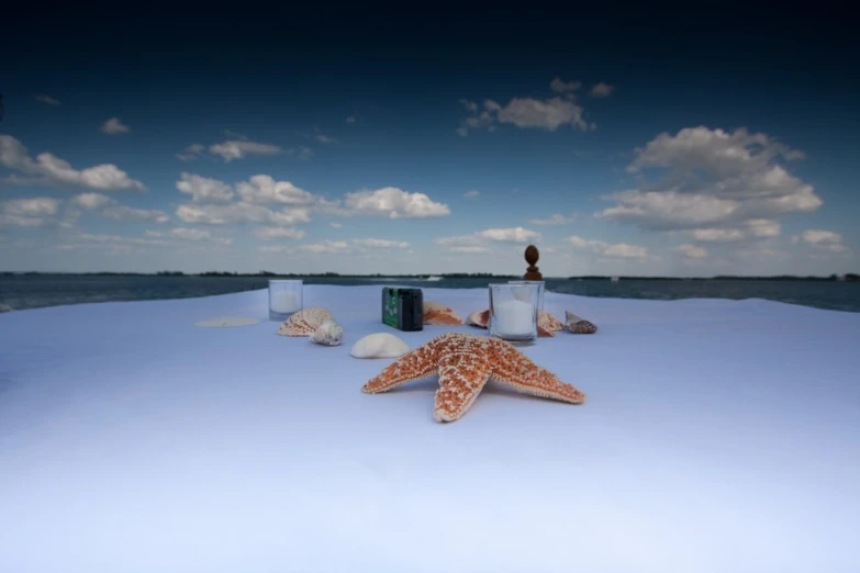 starfish on the beach in front of people standing