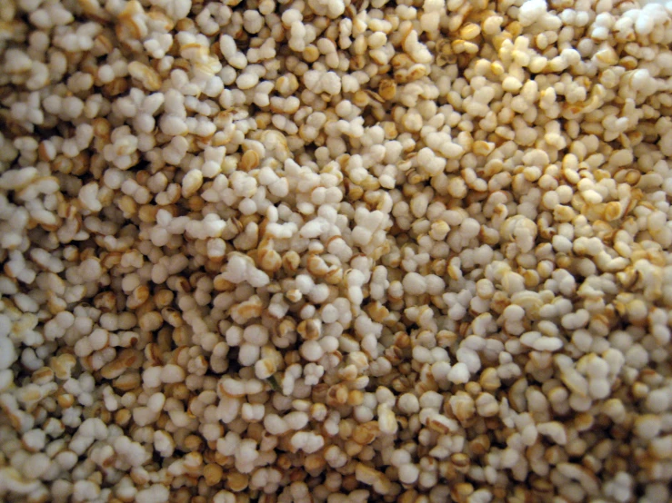a large mound of sesame seeds is shown