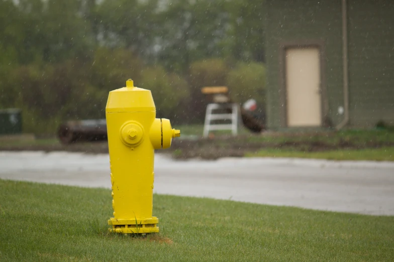 a yellow fire hydrant sitting in the grass