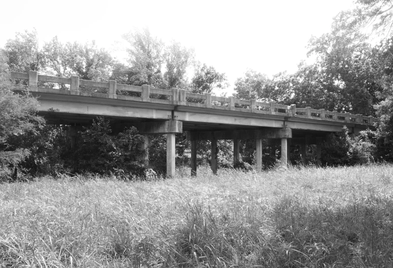 a train is crossing a long bridge over grass