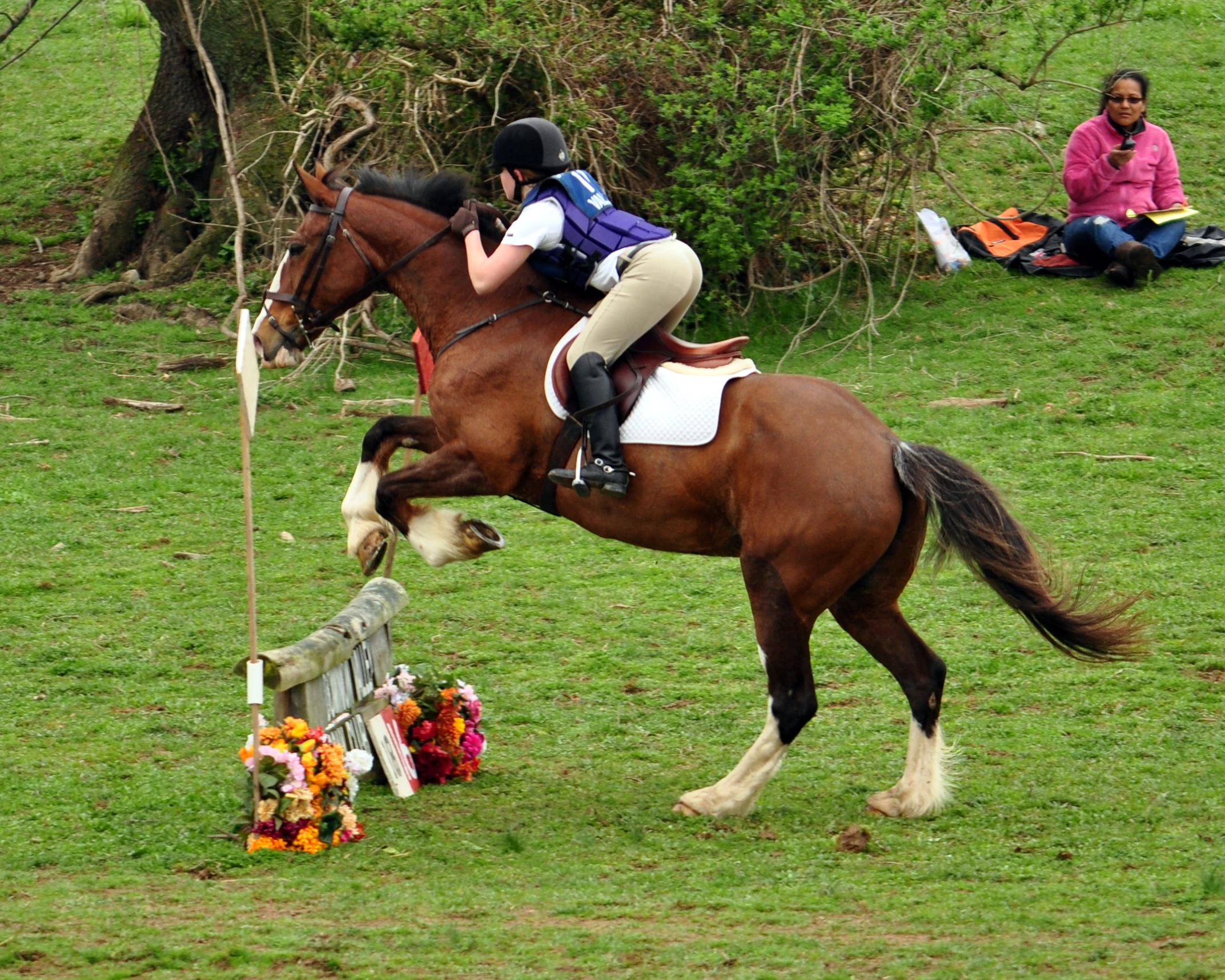 a horse with its rider jumping over a small pole