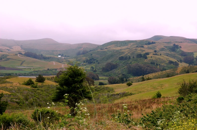 a grassy hill side with small trees on both sides and clouds in the distance